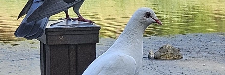 KJ31205's profile banner image