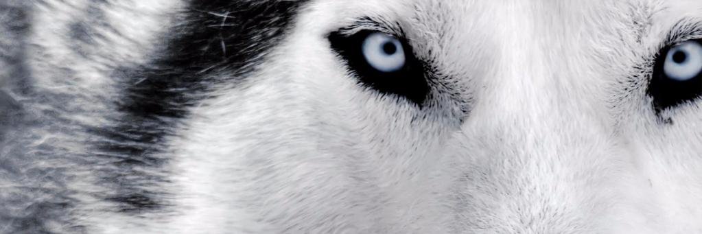 Bernardo Martín banner