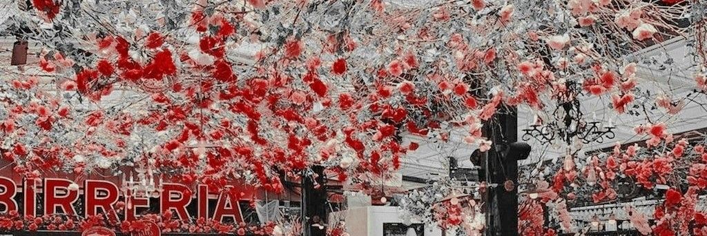 ᖇicia 🐇 log out banner