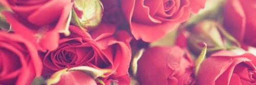 MRSH👨🏻‍💻 banner