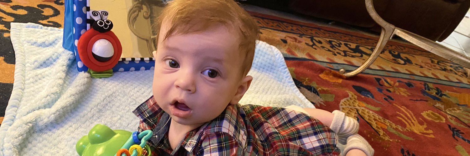 david ridgway banner