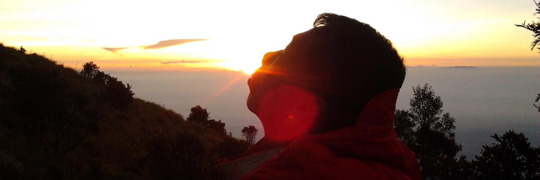 RoyhanBA's profile banner image