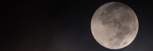 CatChau0_0's profile banner image