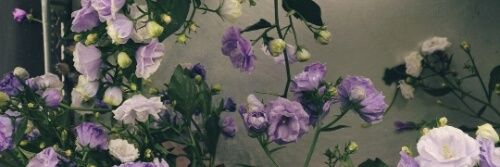 Bloominglock's profile banner image