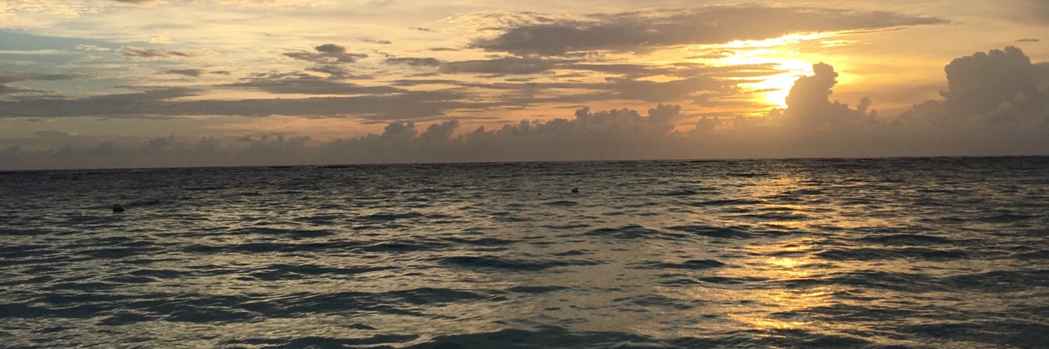hoeefoshoo's profile banner image