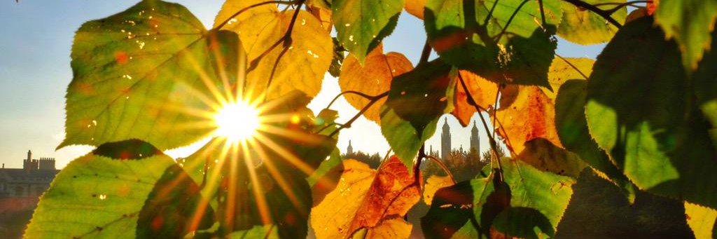 Cambridge_Co's profile banner image