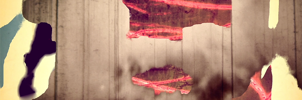 NikkiWalkerden's profile banner image