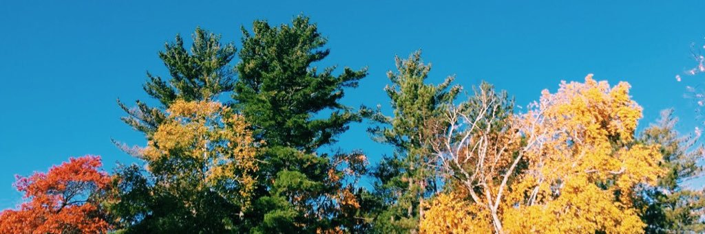 nibbyice's profile banner image