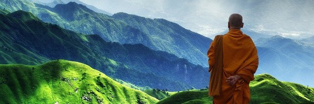 Ravi banner