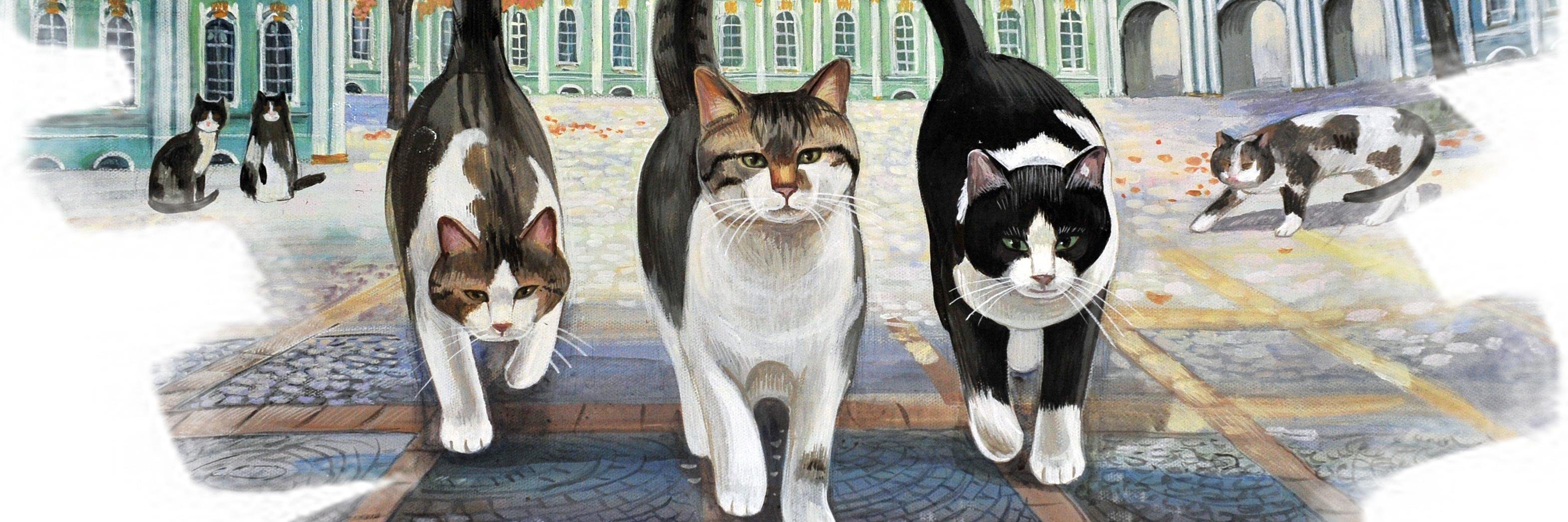 funofcats's profile banner image