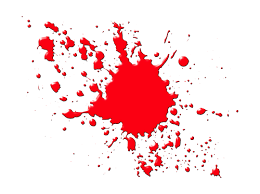 bobbyzava's profile banner image