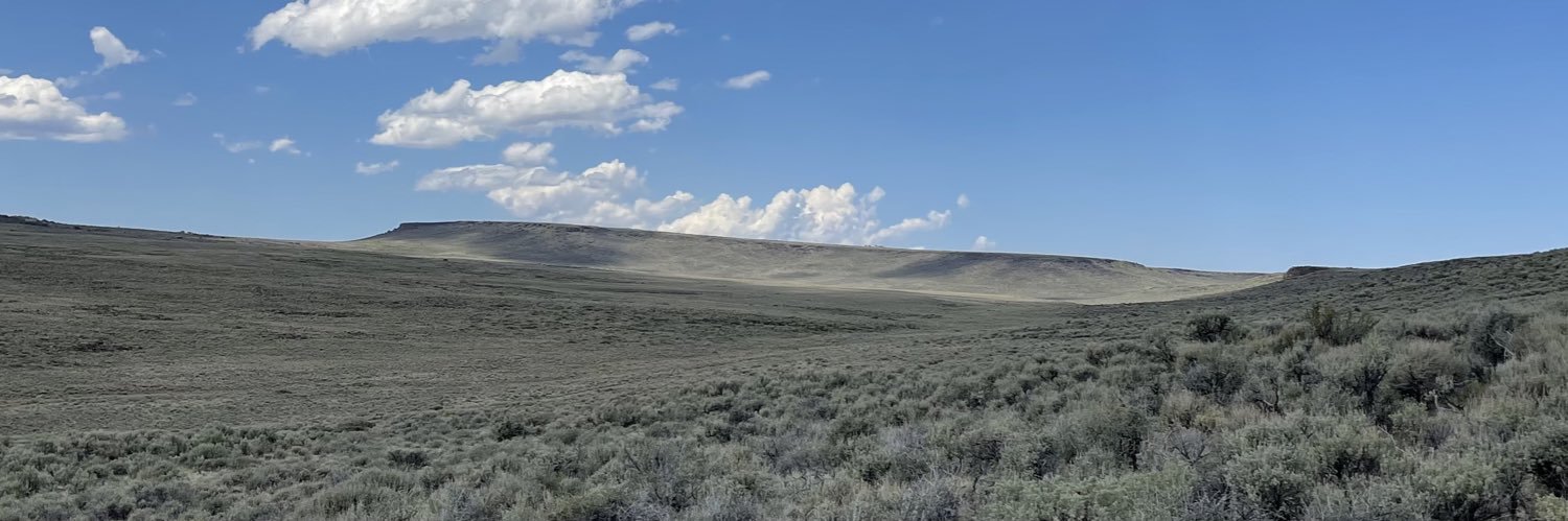 Hans Steven Iida banner