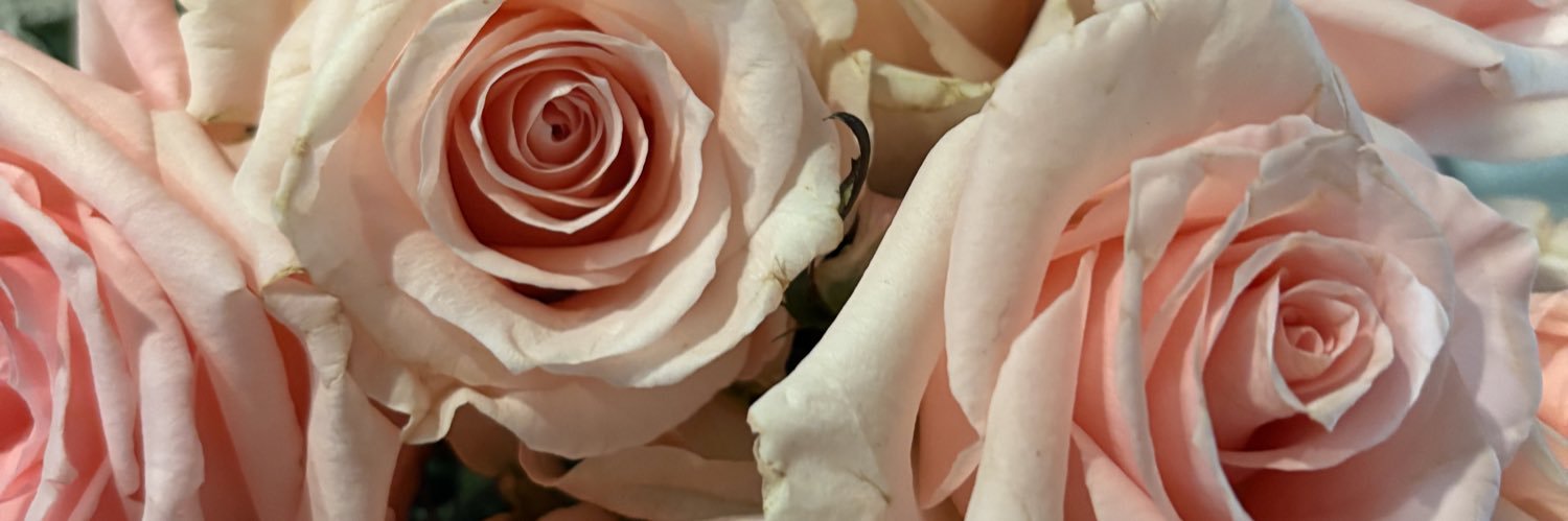 baely_17's profile banner image