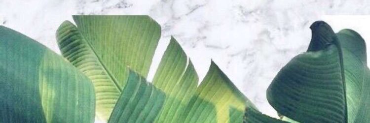Ahlamabdullah65's profile banner image