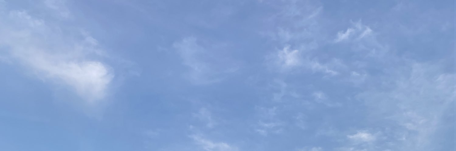 nararoznan's profile banner image