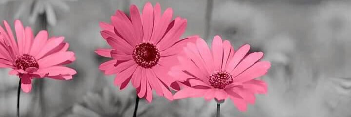 tar9309's profile banner image