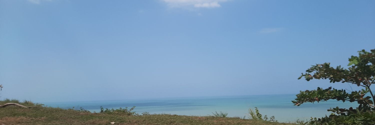 ottopalta2's profile banner image