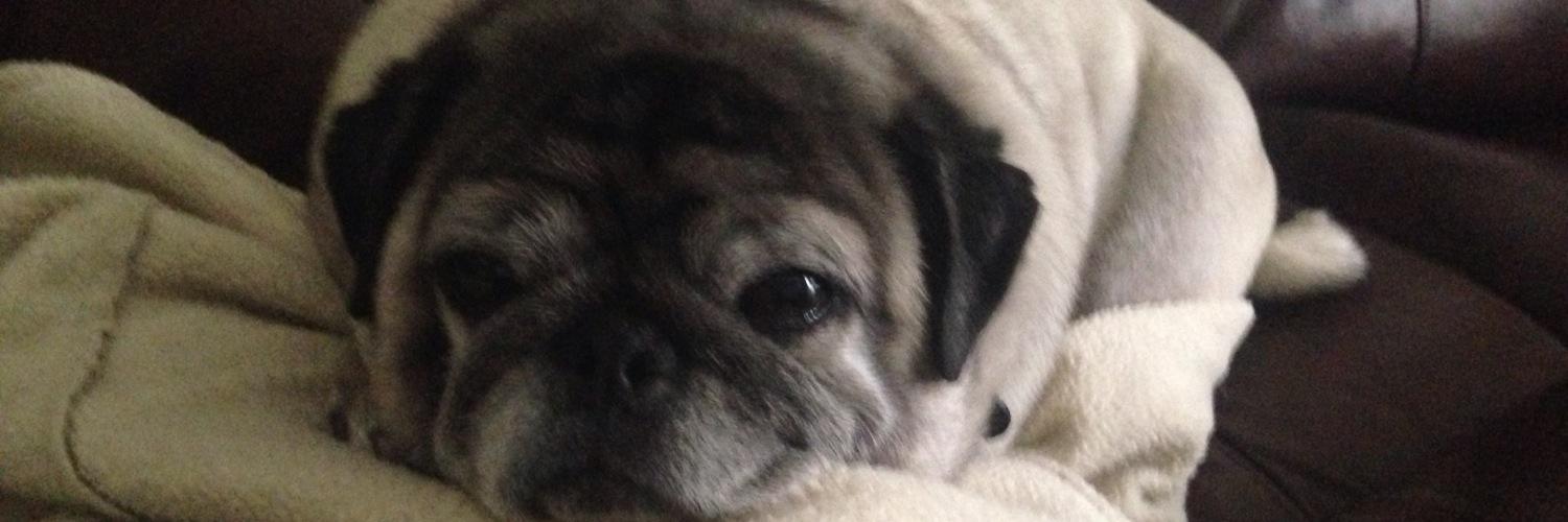 bbykateee's profile banner image