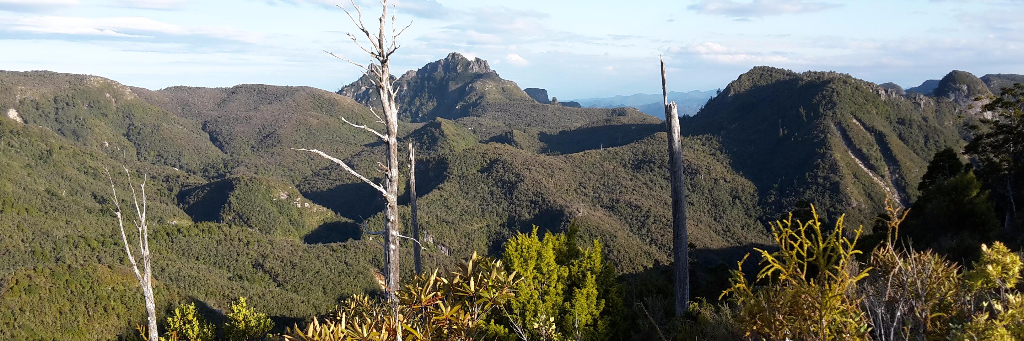 kiwitrailrunner's profile banner image