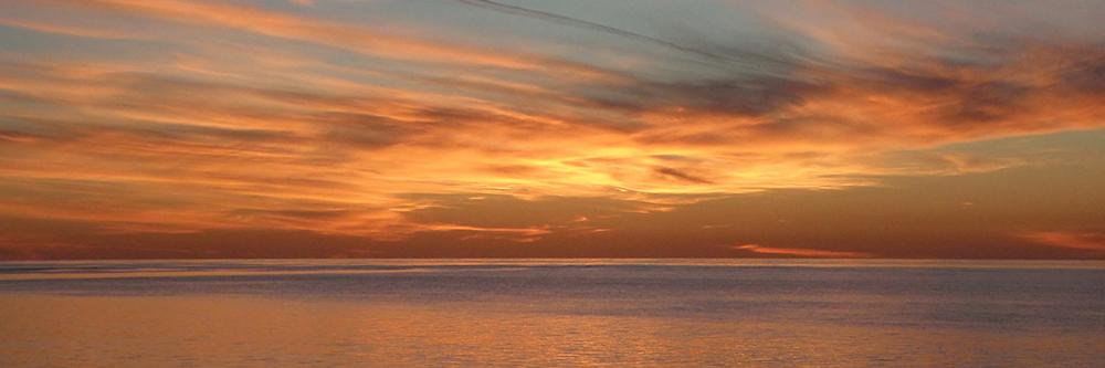 Nicolai Konow banner