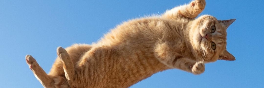 zehraeyupogluu's profile banner image