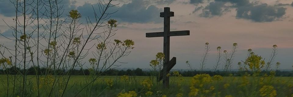 nesnkdktl's profile banner image