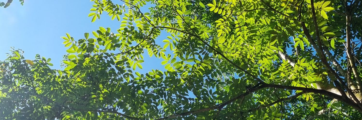 Bobryan_'s profile banner image