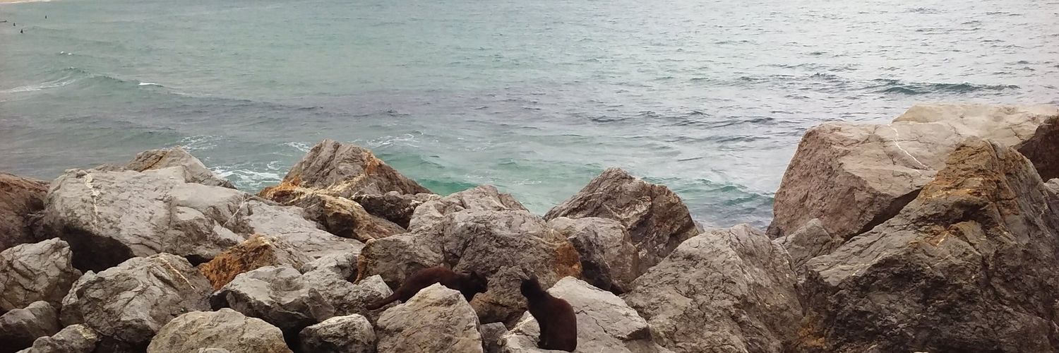 DABVIBES5's profile banner image