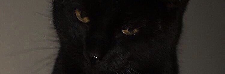 kgarxiaa's profile banner image
