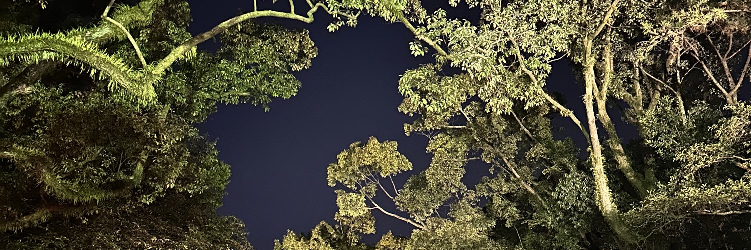 e__ma221's profile banner image