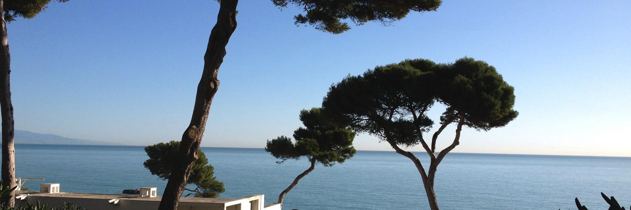 HOMEXA IMMOBILIER banner