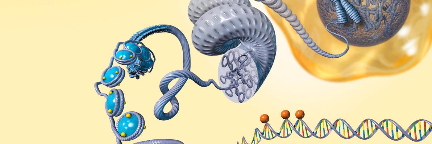 EpigeneticsUMCG's profile banner image