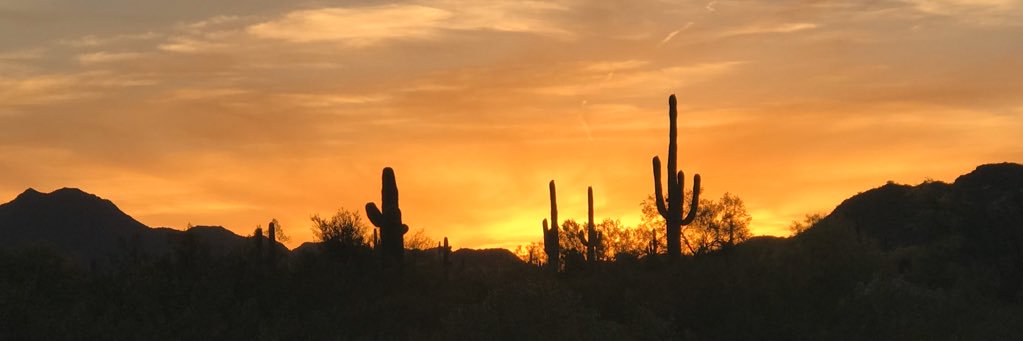 Lfran119's profile banner image