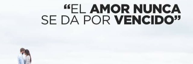 lauratoscano's profile banner image