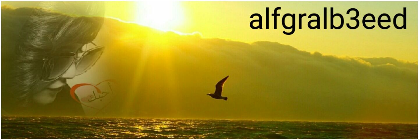 alfgralb3eed's profile banner image