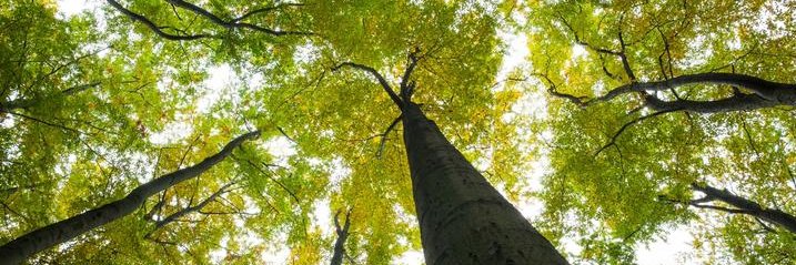 margara581's profile banner image