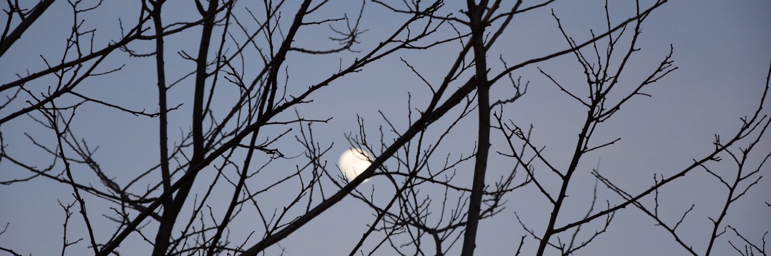 Jasmin 💐🇮🇹💐 banner