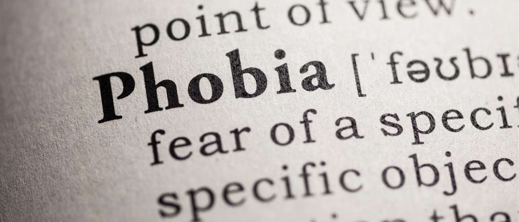 PhobiaFactBook's profile banner image