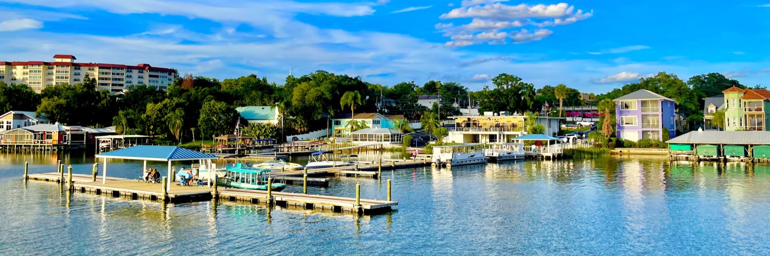 Mount Dora Buzz banner