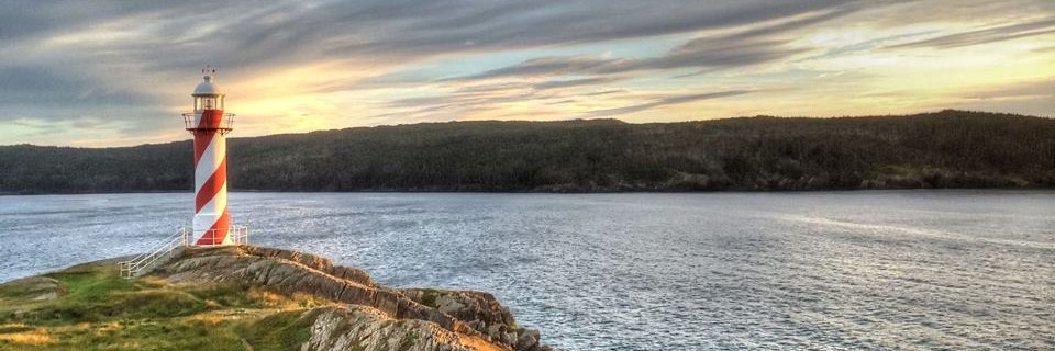 jarrattrose's profile banner image