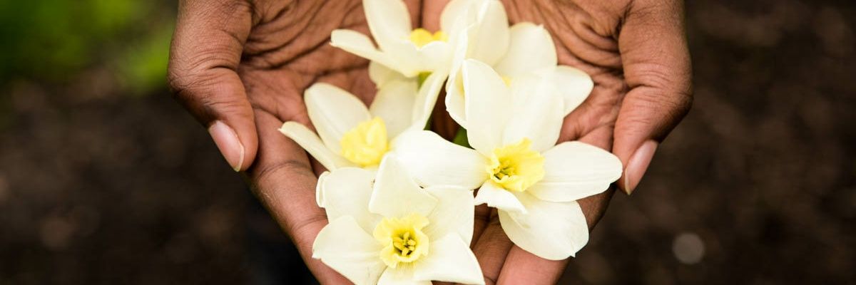 Elisa_Beth___'s profile banner image