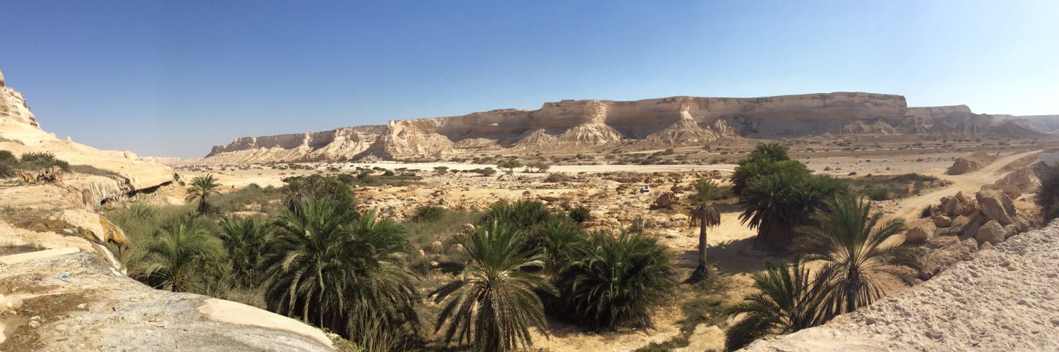 Irene Kopanska 💙 banner