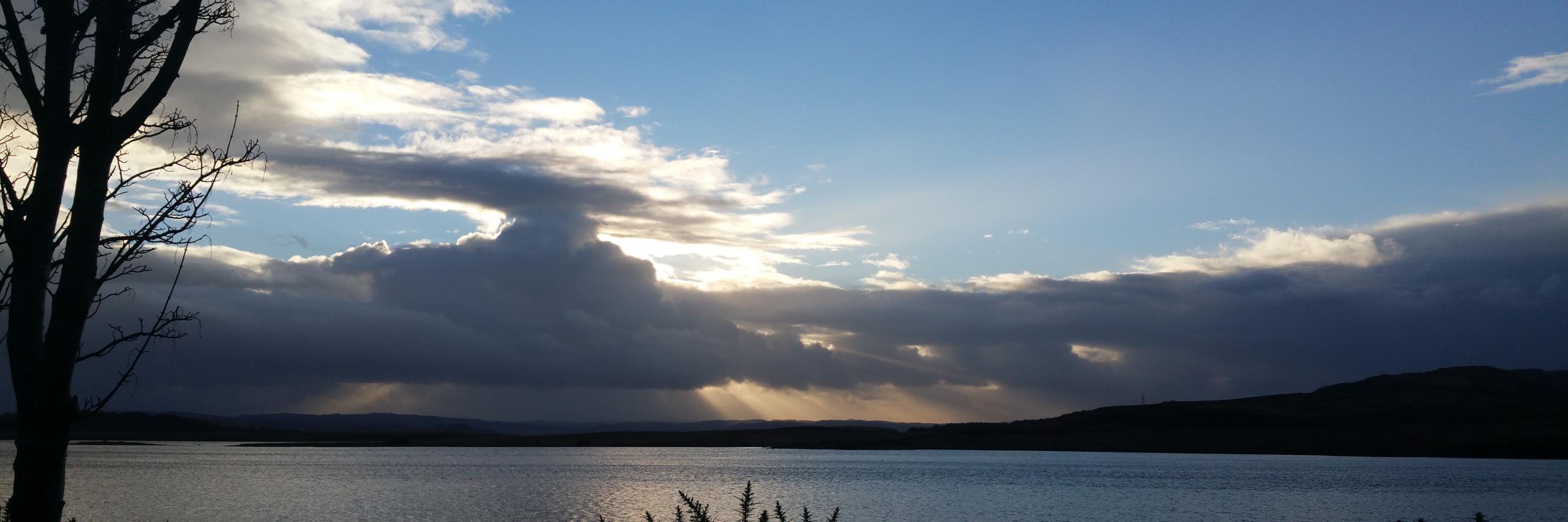 Catherine Wright banner