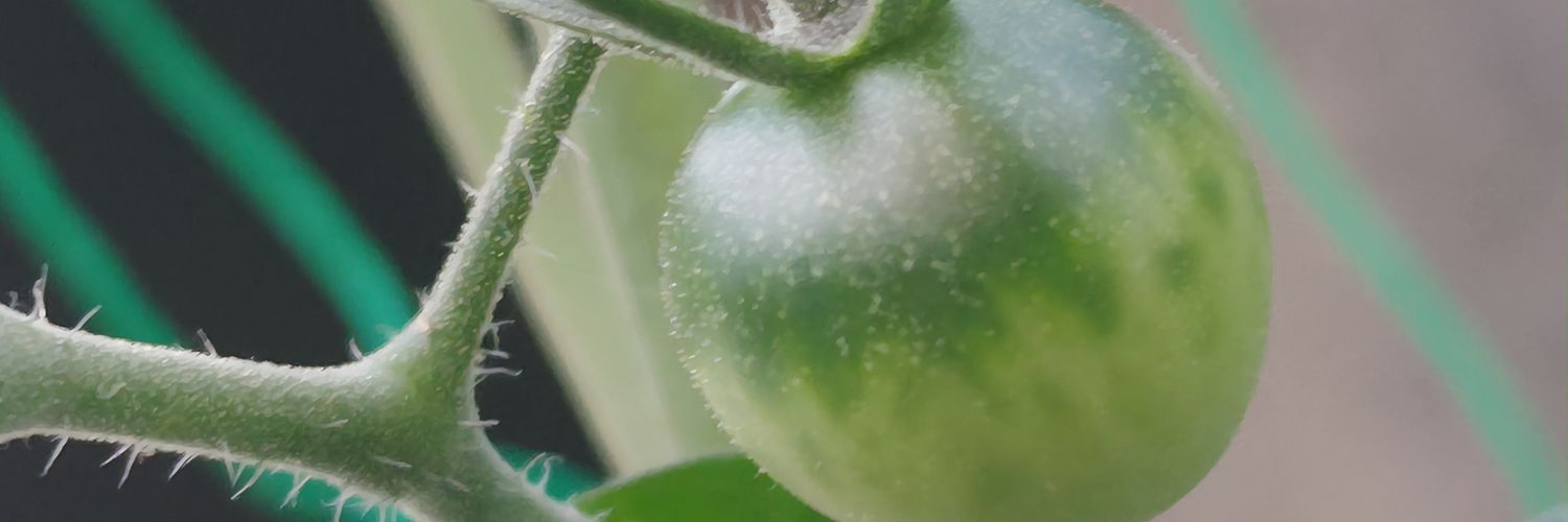 higenooitan's profile banner image