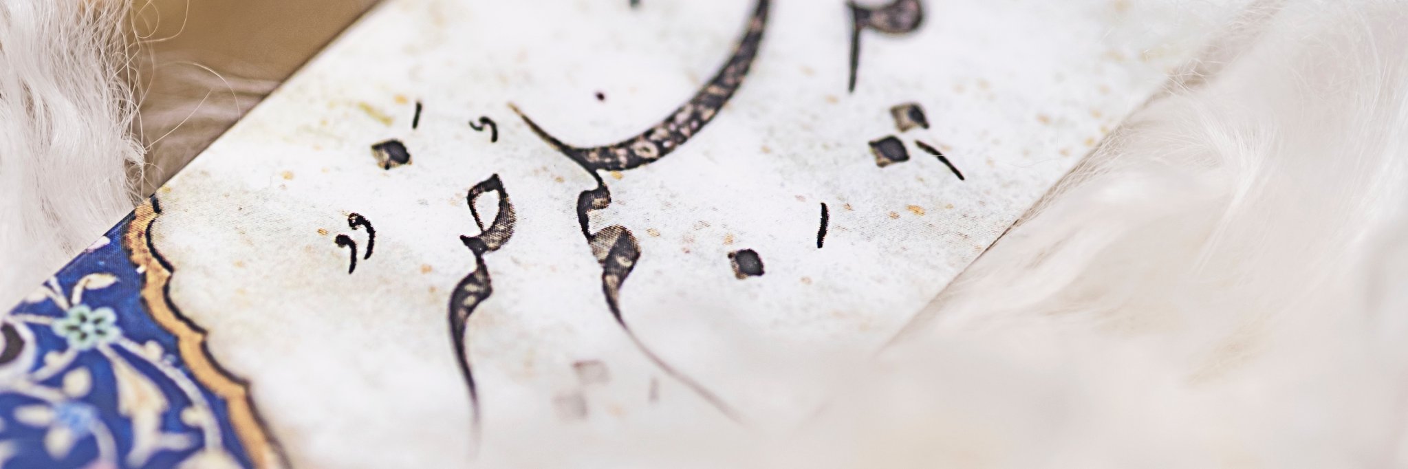 dodiaaa's profile banner image