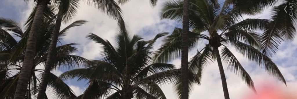 Amandaplz05's profile banner image