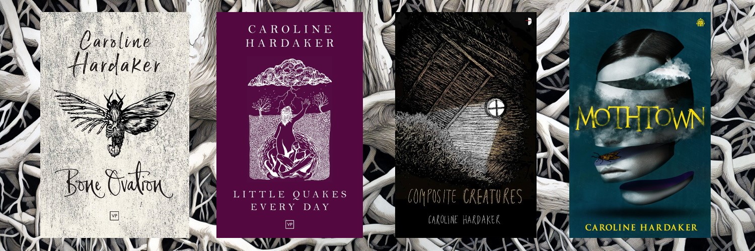carolinehwrites's profile banner image
