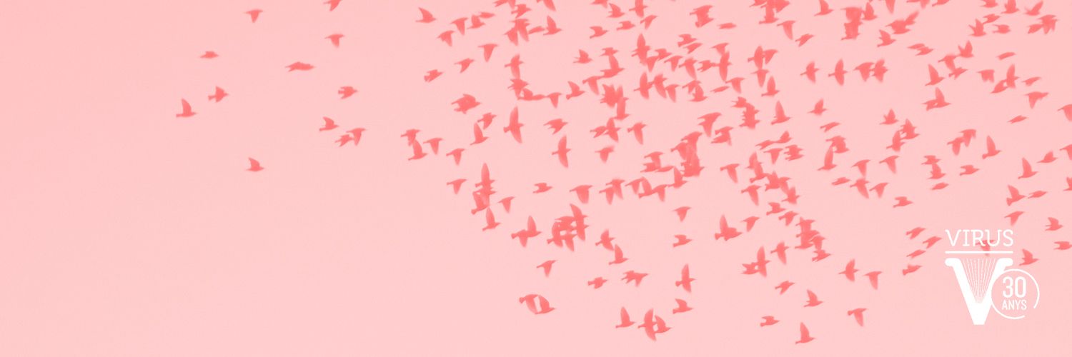 Virus Editorial's banner