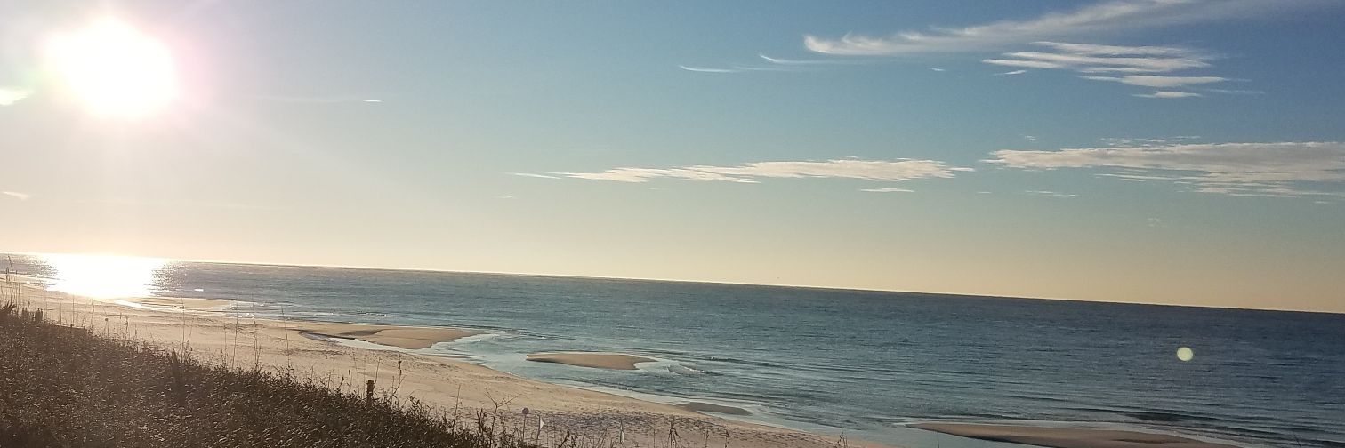 Leland Stillman, MD banner