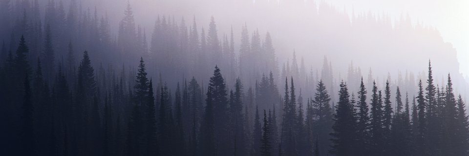 Zahar0k's profile banner image